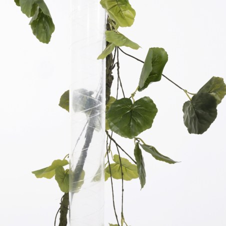 Supergreens Τεχνητή Γιρλάντα Φίκος Ginseng Πράσινη 240 εκ.