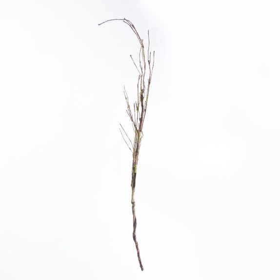 Supergreens Τεχνητό Κλαδί Αποξηραμένο Frostwood  120 εκ.