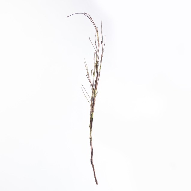 Supergreens Τεχνητό Κλαδί Αποξηραμένο Frostwood...