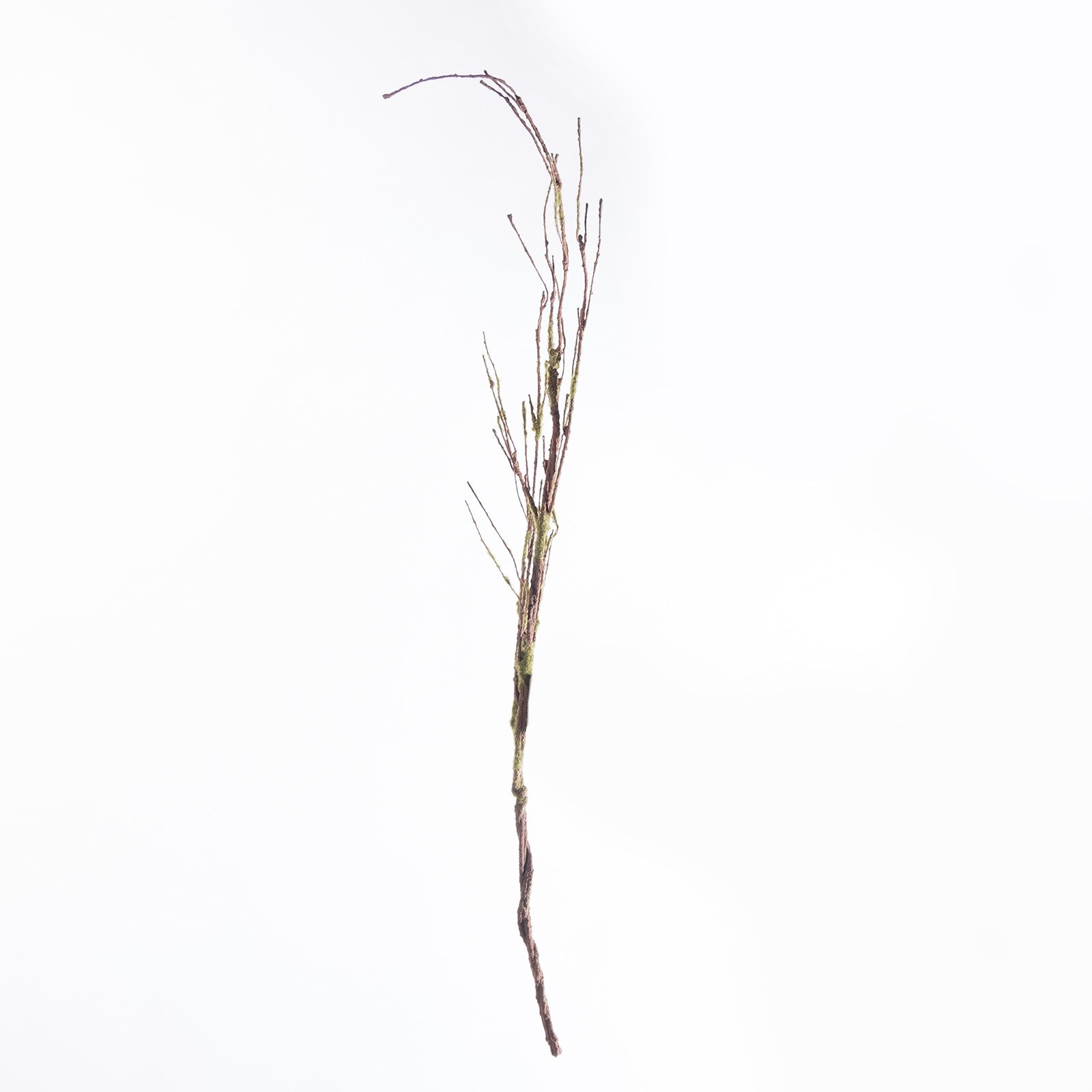 Supergreens Τεχνητό Κλαδί Αποξηραμένο Frostwood 120 εκ.