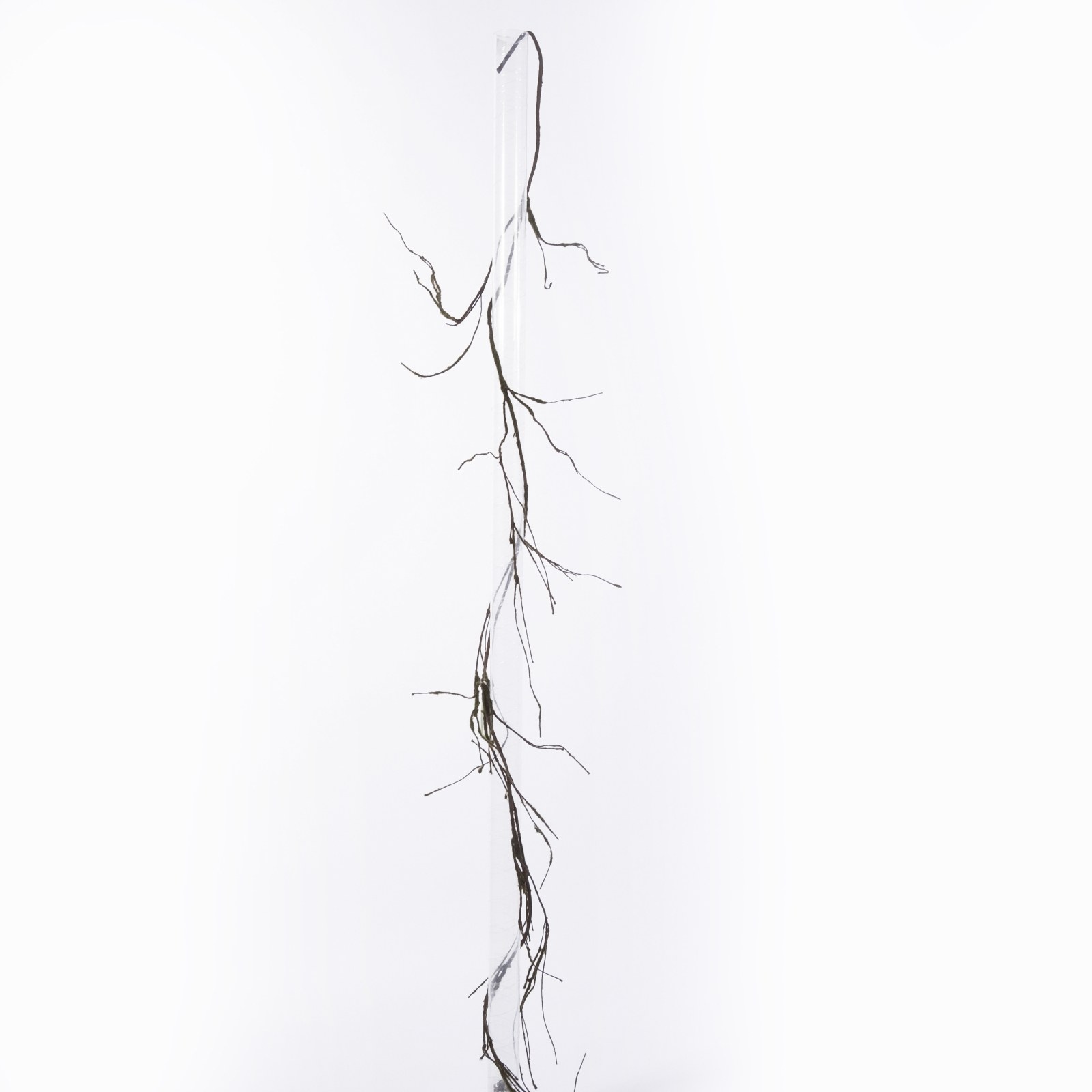 Supergreens Τεχνητό Κλαδί Αποξηραμένο Frostwood 220 εκ.