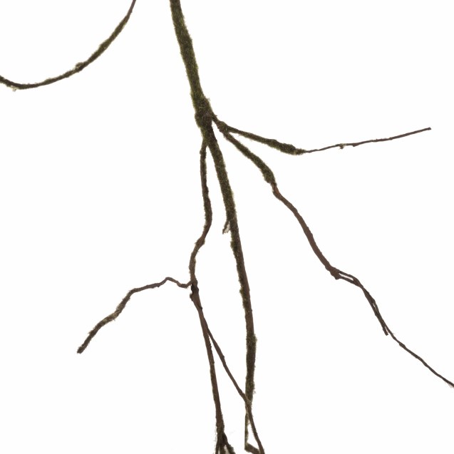 Supergreens Τεχνητό Κλαδί Αποξηραμένο Frostwood...