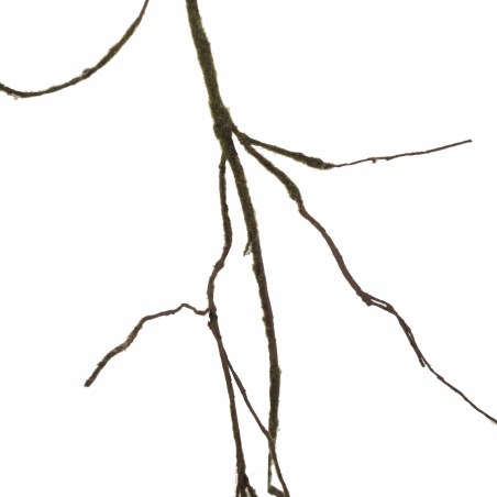 Supergreens Τεχνητό Κλαδί Αποξηραμένο Frostwood 220 εκ.