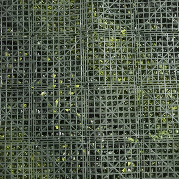 Supergreens Τεχνητή Φυλλωσιά Πυξάρι με Φτέρη "Fernovox"...