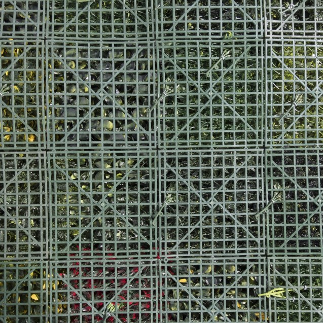 Supergreens Τεχνητή Φυλλωσιά Φτέρη Mix "Lith"...