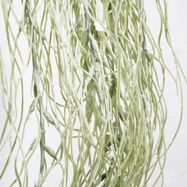 Supergreens Τεχνητή Κρεμαστή Ριψαλίδα Verdanus...