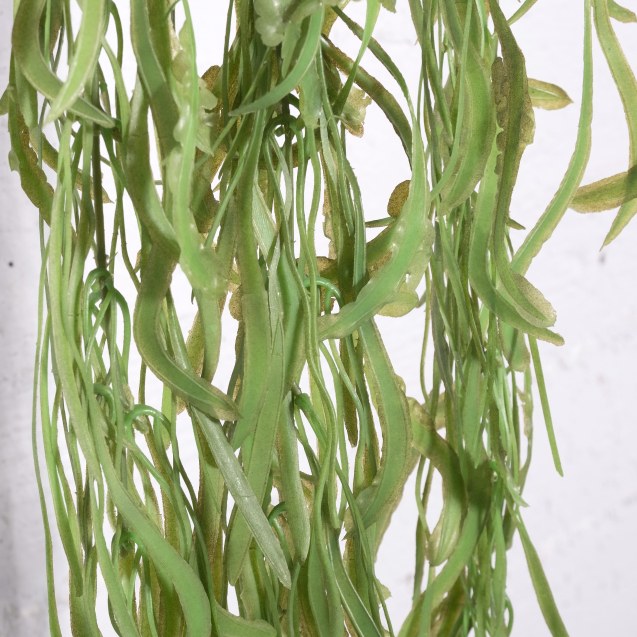 Supergreens Τεχνητό Κρεμαστό Χορτάρι "Phyllo"...