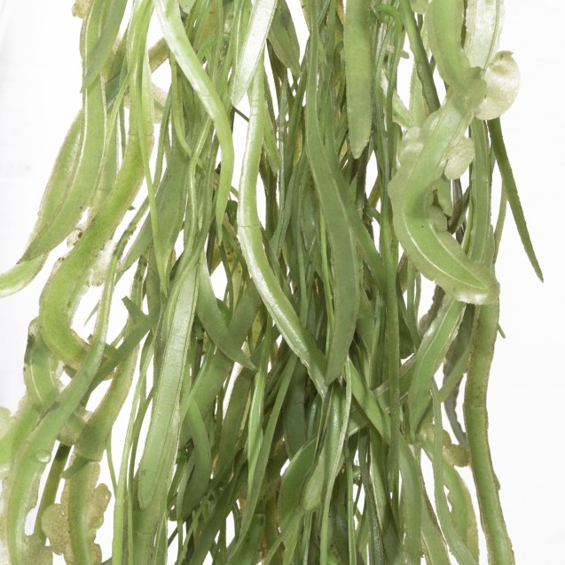 Supergreens Τεχνητό Κρεμαστό Χορτάρι "Fulvus"...