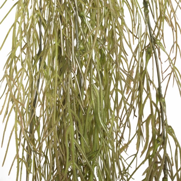 Supergreens Τεχνητή Κρεμαστή Ρουσέλια Καφέ 110 εκ.