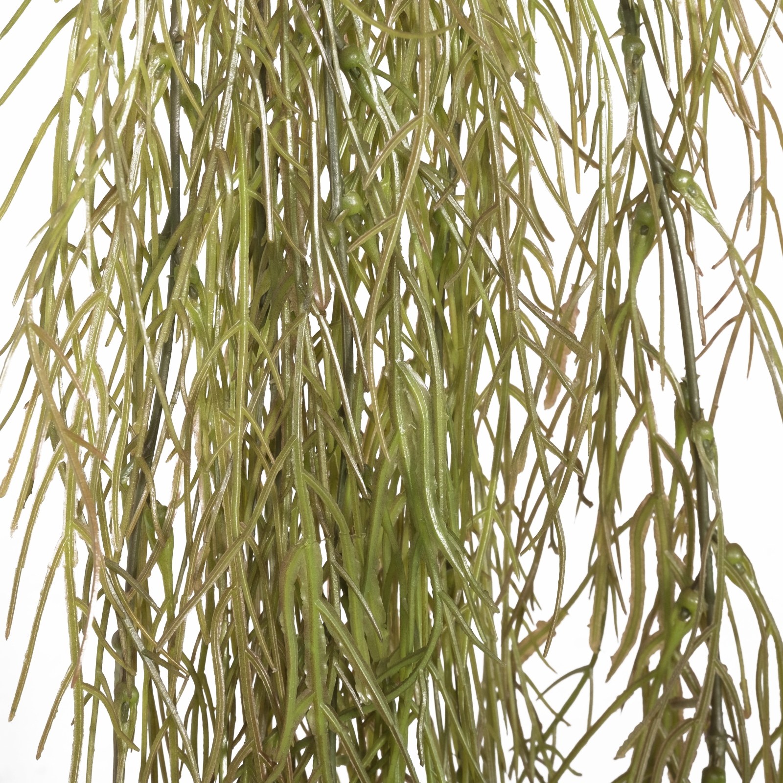 Supergreens Τεχνητή Κρεμαστή Ρουσέλια Καφέ 110 εκ.