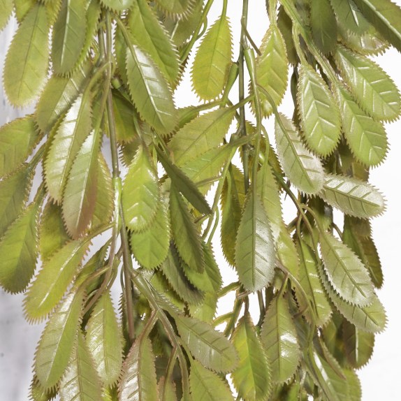 Supergreens Τεχνητός Κρεμαστός Φράξος Excelsior Καφέ 90 εκ.