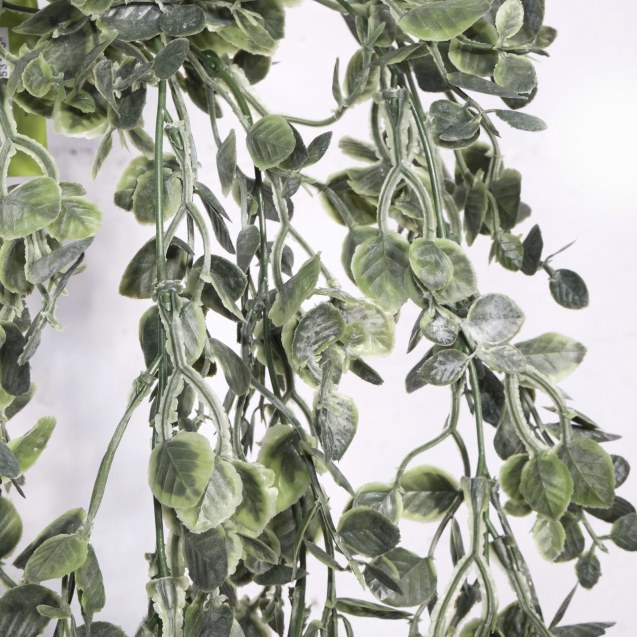 Supergreens Τεχνητό Κρεμαστό Φασκόμηλο "Salvi"...