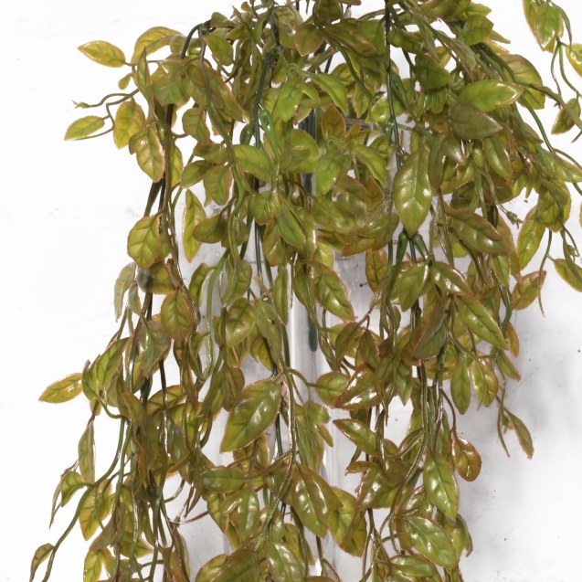 Supergreens Τεχνητή Κρεμαστή Τραντεσκάντια Καφέ...