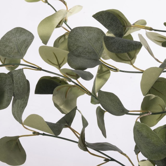 Supergreens Τεχνητό Φυτό Παχίρα "Monteria"...