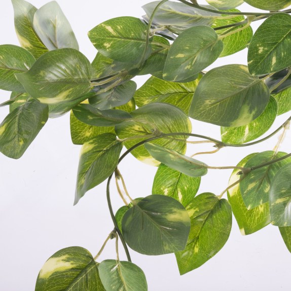 Supergreens Τεχνητό Φυτό Πόθος Πανασέ Πράσινο 63 εκ.