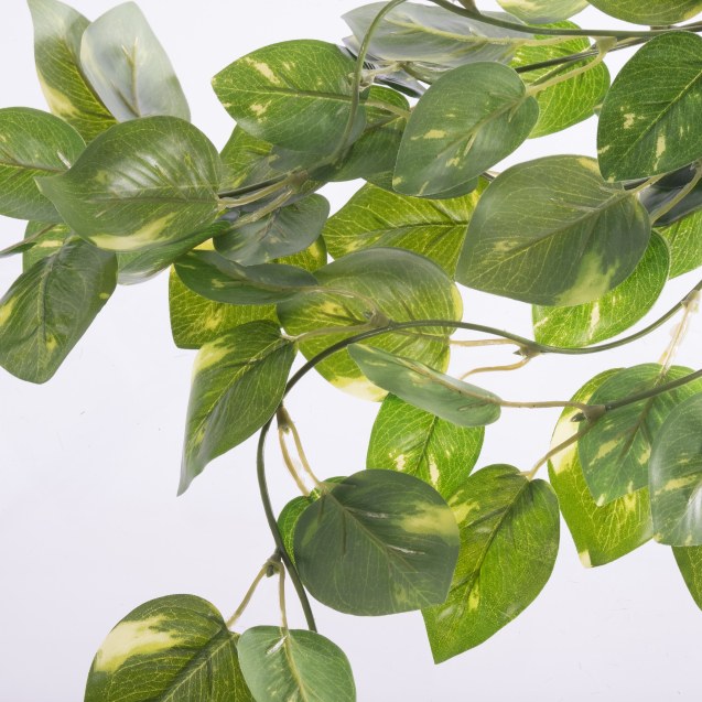 Supergreens Τεχνητό Φυτό Πόθος Πανασέ Πράσινο...