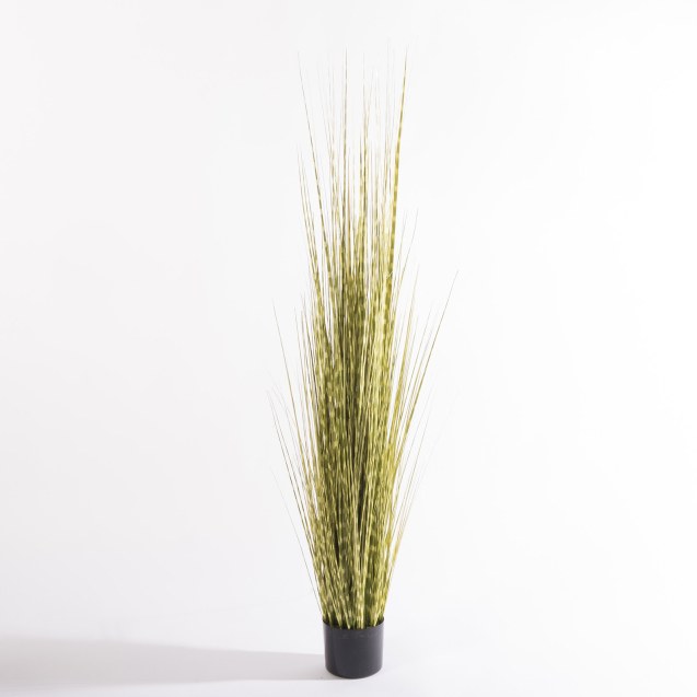 Supergreens Τεχνητό Φυτό Χορτάρι Στίπα "Zebra"...