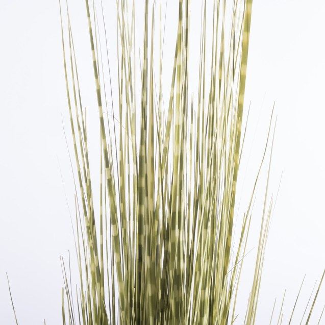 Supergreens Τεχνητό Φυτό Χορτάρι Στίπα "Zebra"...