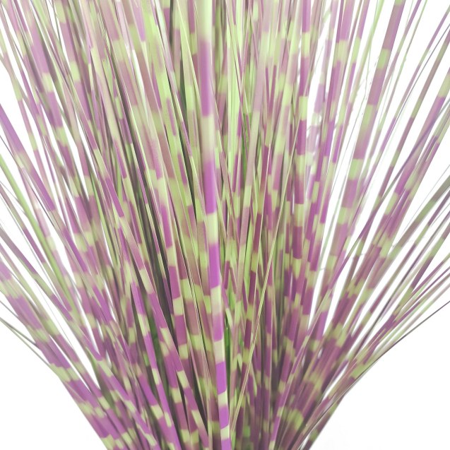 Supergreens Τεχνητό Φυτό Χορτάρι Στίπα "Zebra"...