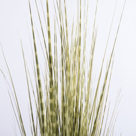 Supergreens Τεχνητό Φυτό Χορτάρι Στίπα "Zebra" Πράσινο 120 εκ.