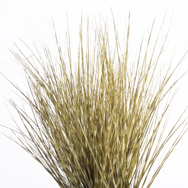 Supergreens Τεχνητό Φυτό Χορτάρι Εκουιζέτο...