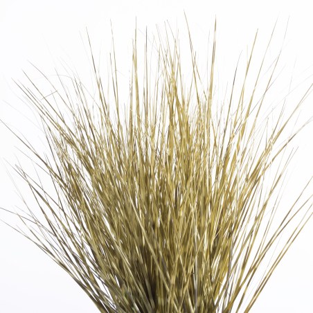 Supergreens Τεχνητό Φυτό Χορτάρι Εκουιζέτο "Horsetail" Πράσινο 53 εκ.