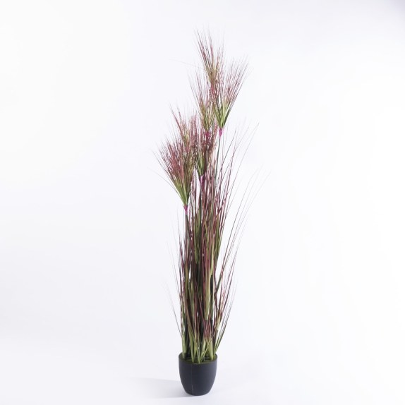 Supergreens Τεχνητό Φυτό Χορτάρι Πάπυρος "Nile" Πράσινος...