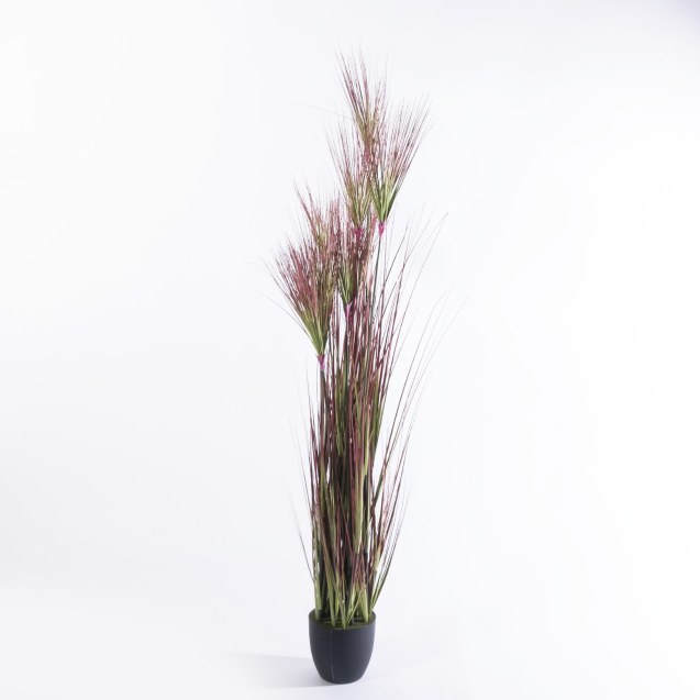 Supergreens Τεχνητό Φυτό Χορτάρι Πάπυρος "Nile"...