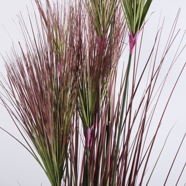 Supergreens Τεχνητό Φυτό Χορτάρι Πάπυρος "Nile"...