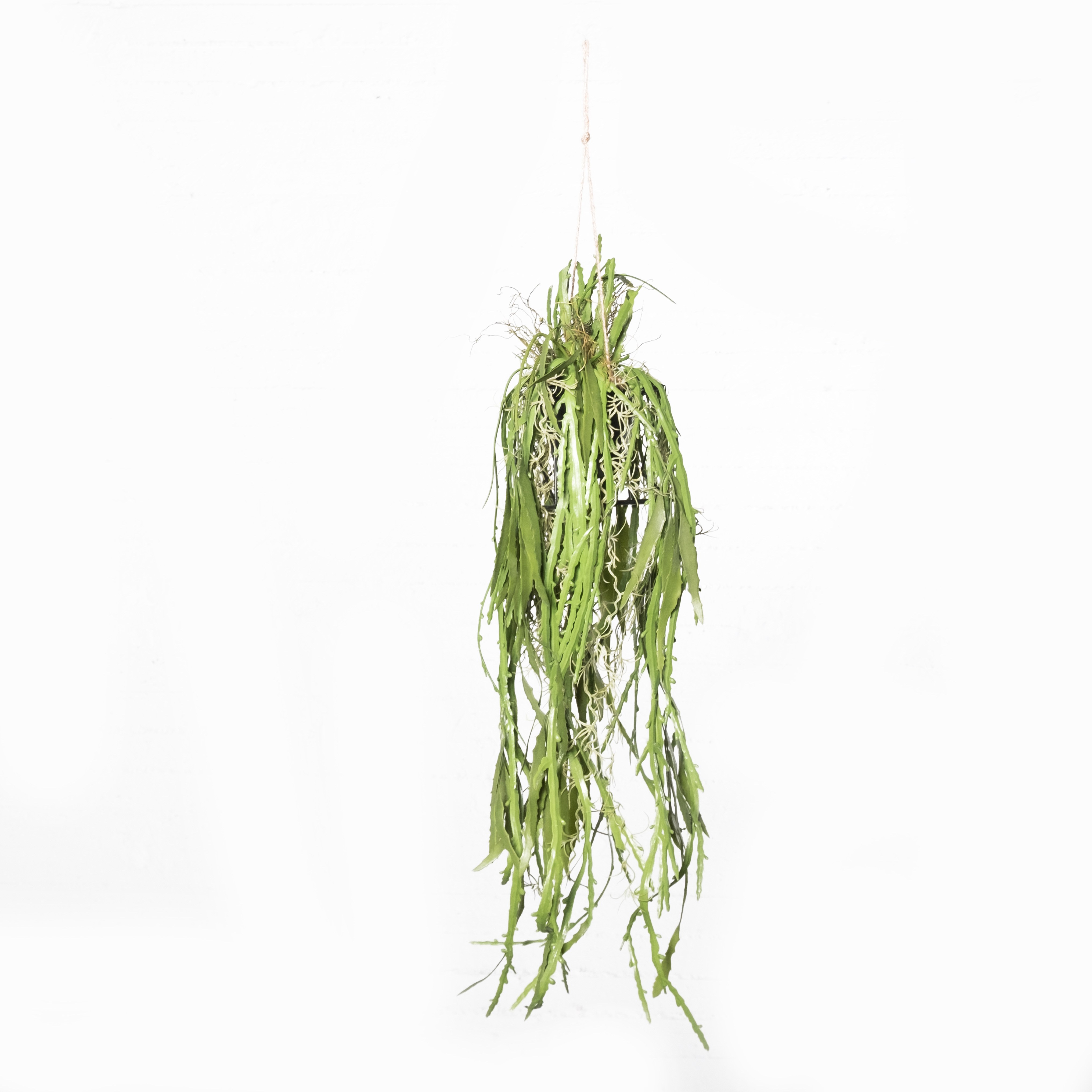 Supergreens Τεχνητή Κρεμαστή Ρίζα/Φωτιστικό Επίφυλλο "Dama Noce" Πράσινη 106 εκ.