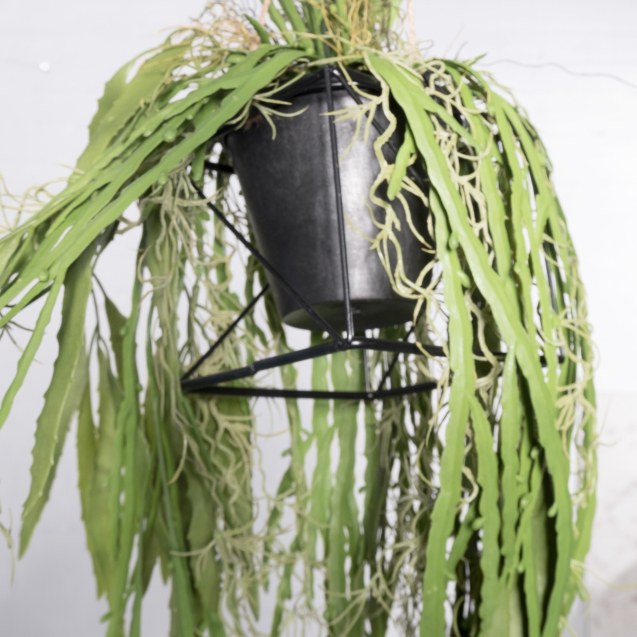 Supergreens Τεχνητή Κρεμαστή Ρίζα/Φωτιστικό...