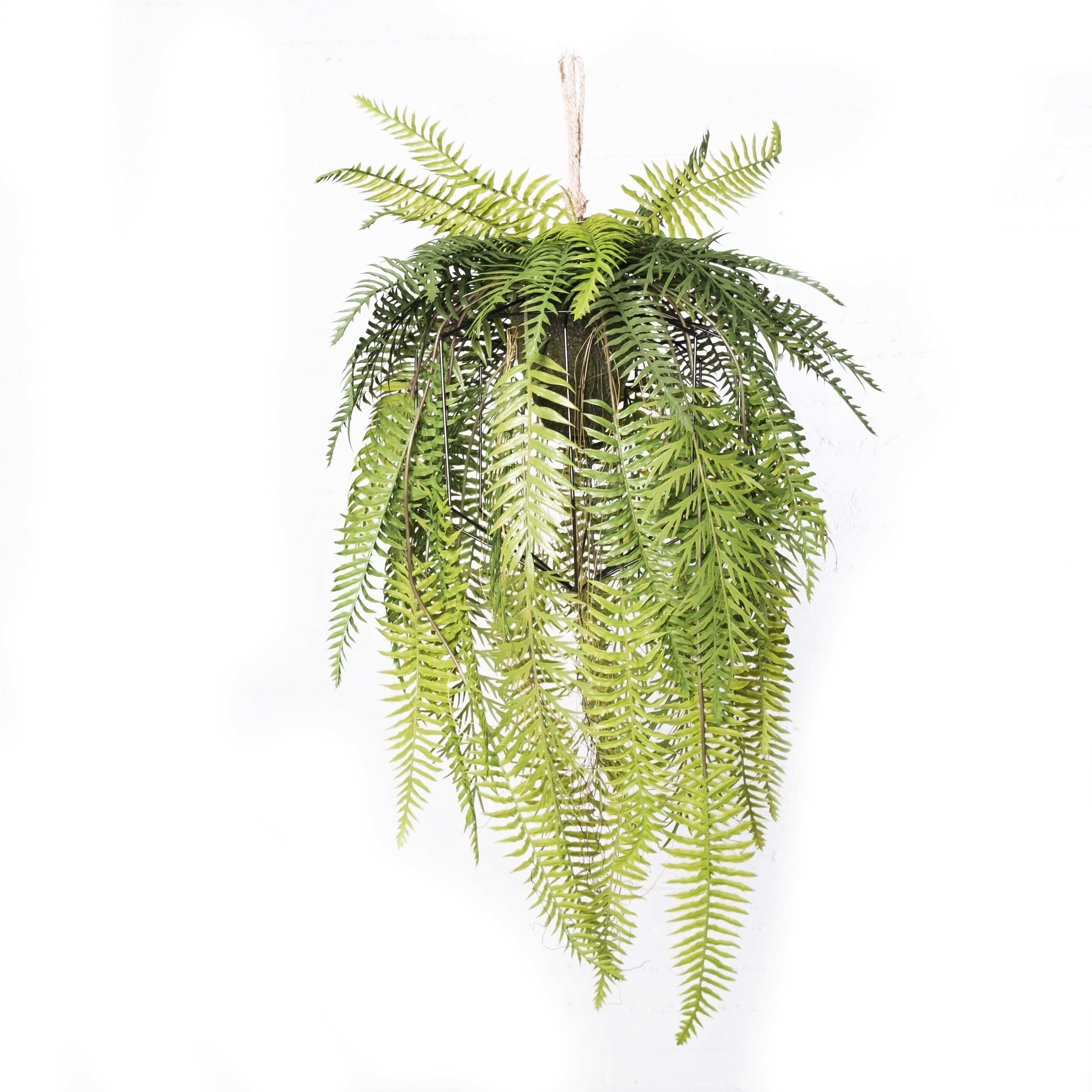 Supergreens Τεχνητή Κρεμαστή Ρίζα/Φωτιστικό Φτέρη "Lady" Πράσινη 117 εκ. RIZA