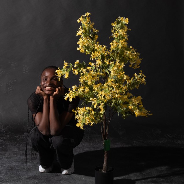 Supergreens Τεχνητό Δέντρο Αγιόκλημα "Lonicera"...