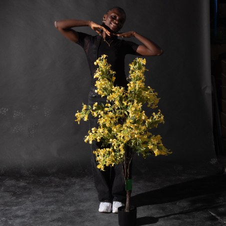 Supergreens Τεχνητό Δέντρο Αγιόκλημα "Lonicera" Κίτρινο 70x75x140 εκ.