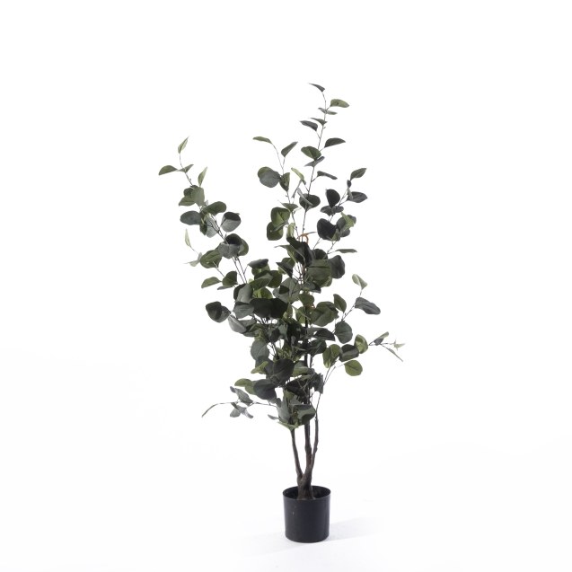 Supergreens Τεχνητό Δέντρο Ευκάλυπτος...