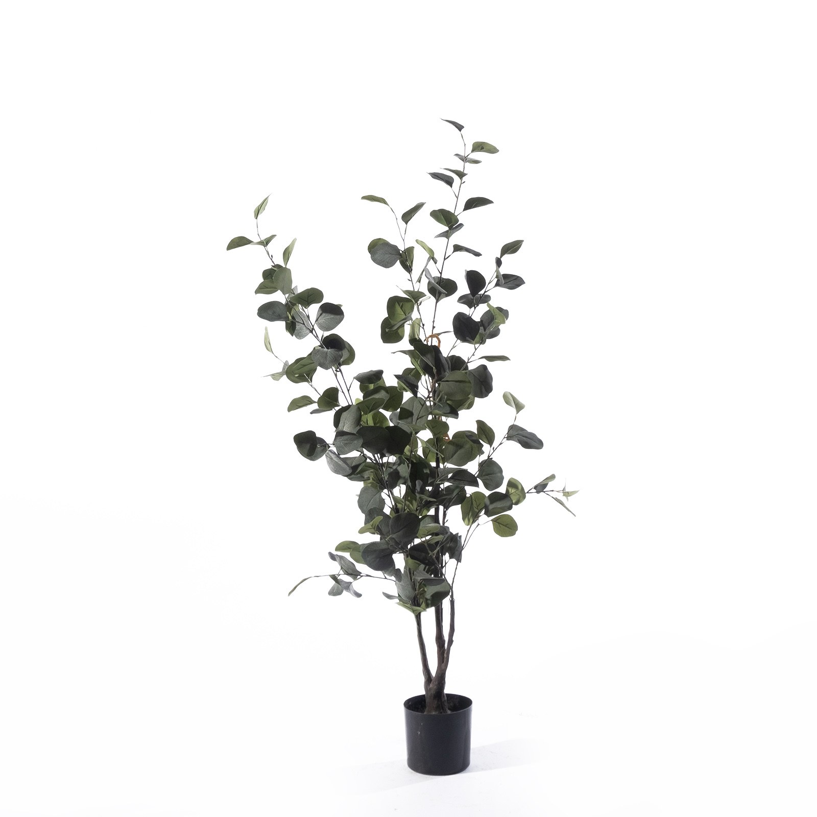 Supergreens Τεχνητό Δέντρο Ευκάλυπτος "Globulous" Πράσινο 55x55x120 εκ.