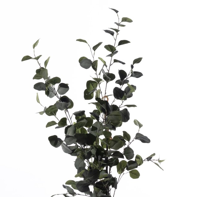 Supergreens Τεχνητό Δέντρο Ευκάλυπτος...