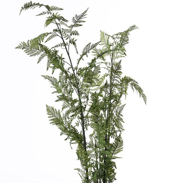 Supergreens Τεχνητό Δέντρο Φτέρη "Pteridium"...