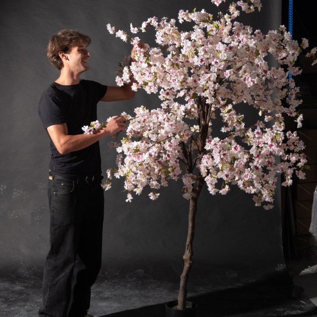 Supergreens Τεχνητό Δέντρο Βουκαμβίλια...