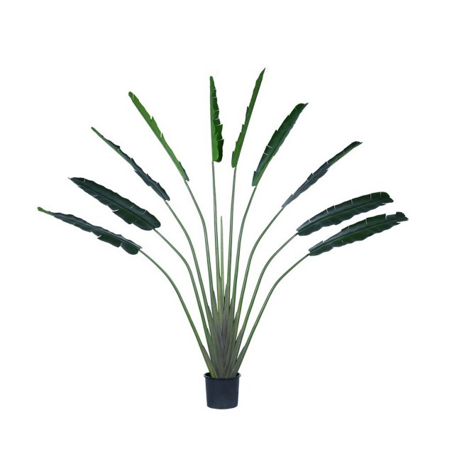 Supergreens Τεχνητό Δέντρο του Ταξιδιώτη...