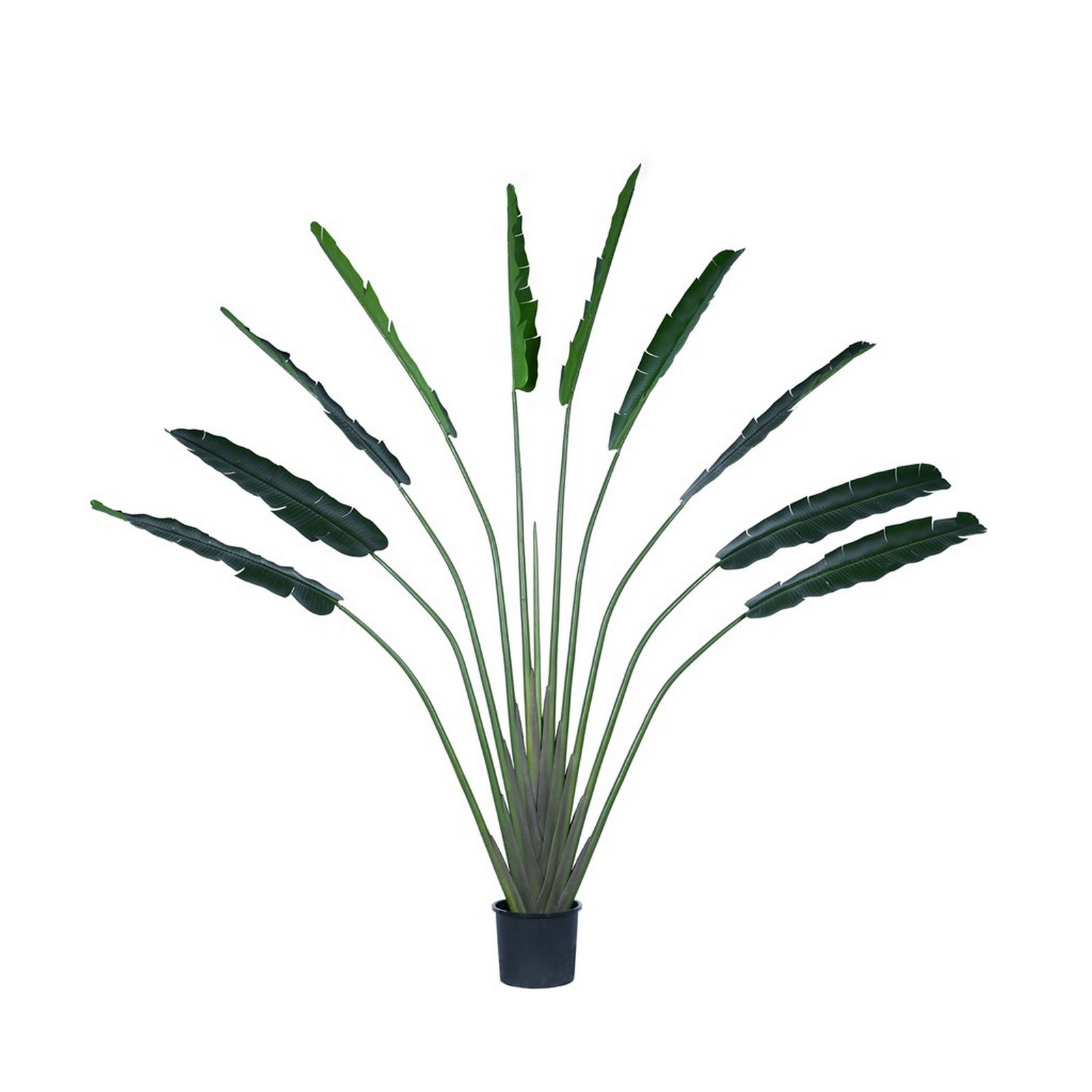 Supergreens Τεχνητό Δέντρο του Ταξιδιώτη "Ravenala" Πράσινο 310x40x300 εκ.