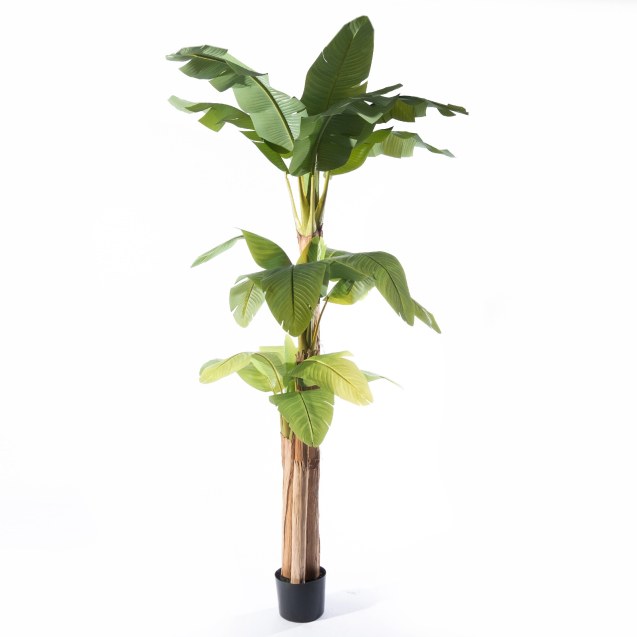 Supergreens Τεχνητό Δέντρο Μπανανιά "Musa"...