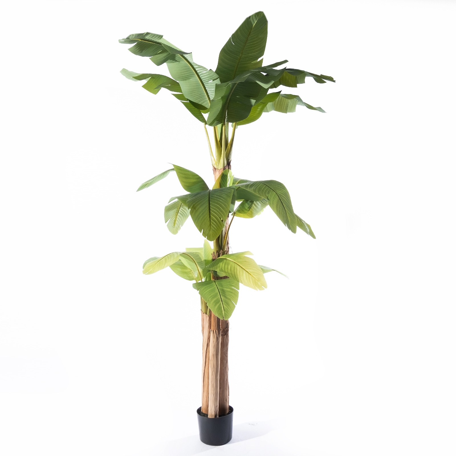 Supergreens Τεχνητό Δέντρο Μπανανιά "Musa" Πράσινο 170x160x280 εκ.