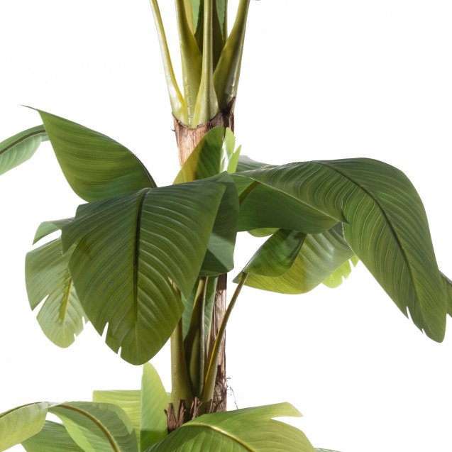 Supergreens Τεχνητό Δέντρο Μπανανιά "Musa"...