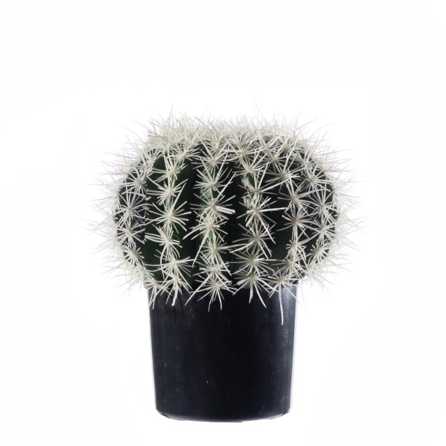 Supergreens Τεχνητός Εχινόκακτος  Πράσινος...