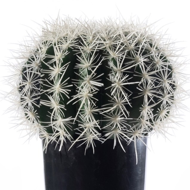 Supergreens Τεχνητός Εχινόκακτος  Πράσινος...