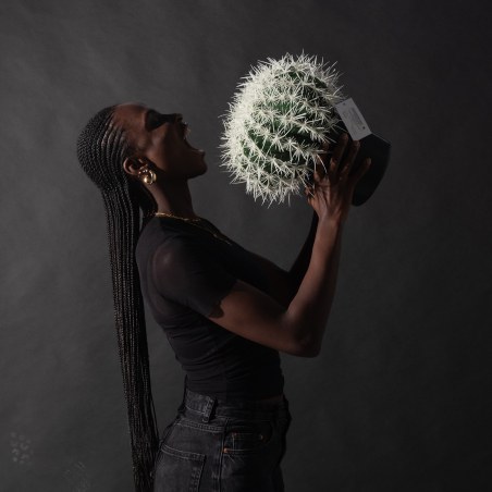 Supergreens Τεχνητός Εχινόκακτος  Πράσινος 30x25x33 εκ.