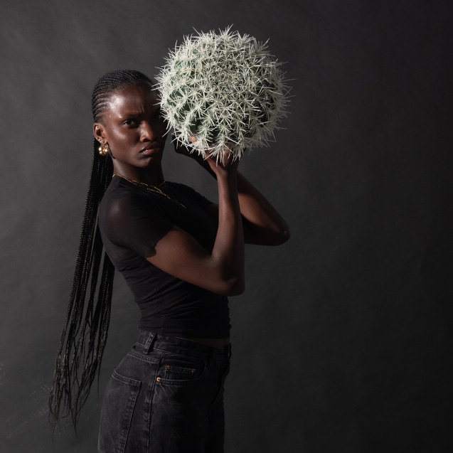 Supergreens Τεχνητός Εχινόκακτος  Πράσινος...