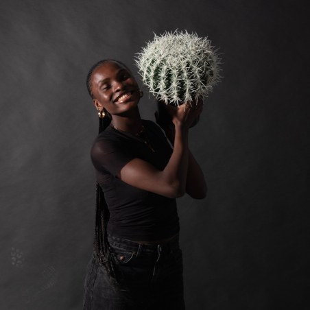 Supergreens Τεχνητός Εχινόκακτος  Πράσινος 30x25x33 εκ.