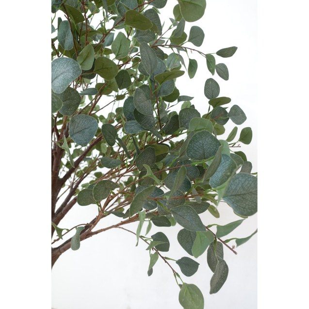 Supergreens Τεχνητό Δέντρο Παχίρα "Aureum"...